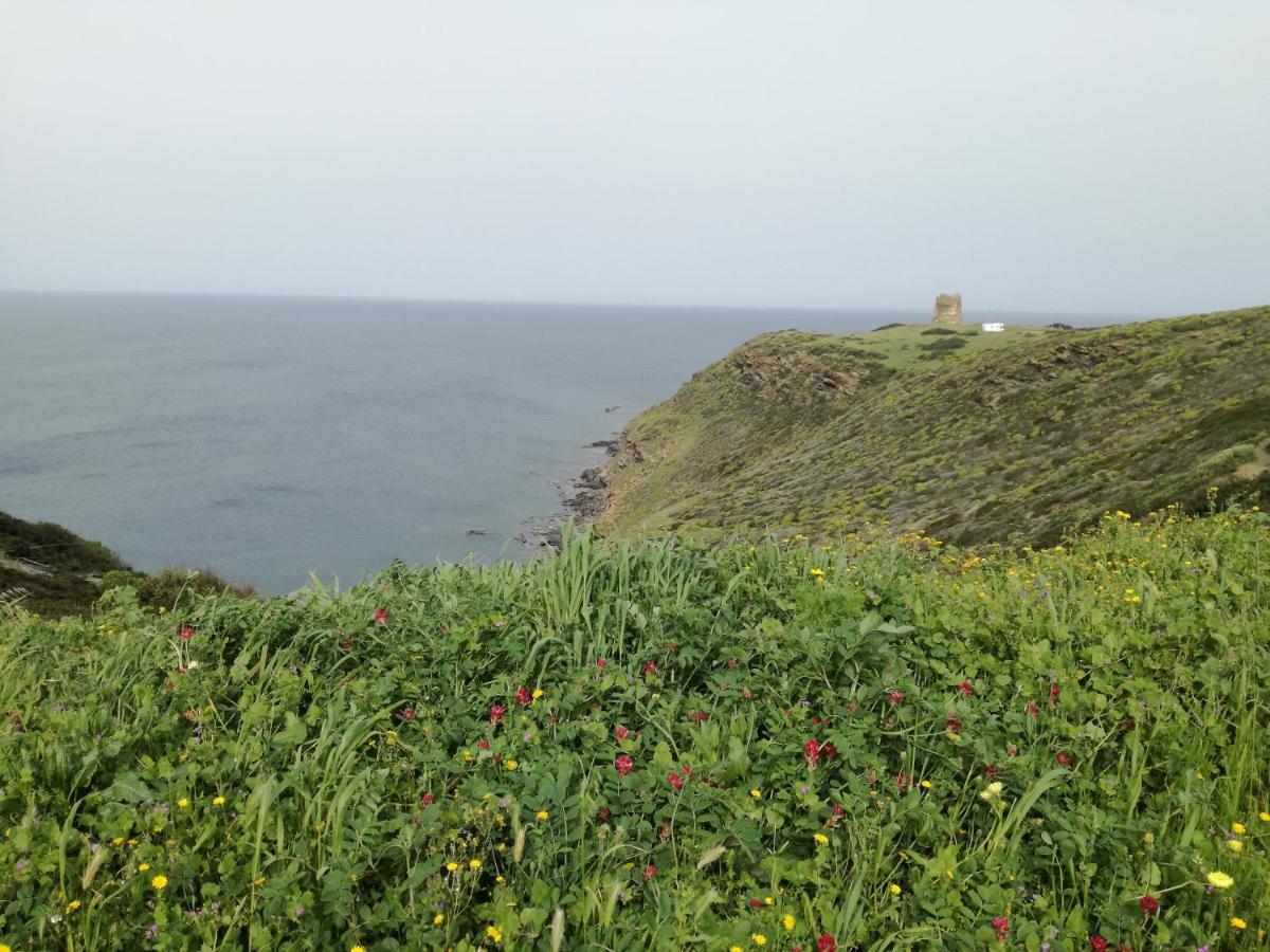 La Calla Bianca Torre dei Corsari Eksteriør billede